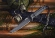 Нож Kizlyar Supreme Croc, черный титан, AUS8, kraton