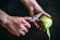 Нож кухонный Samura KAIJU овощной 78 мм, AUS-8, дерево, SKJ-0011