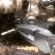 Мультитул Leatherman Rev, 14 функций, 97 мм, серебристый, 832136