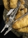Мультитул Leatherman Super Tool 300, серебристый, 19 функций, 115 мм, чехол кожа, 831183
