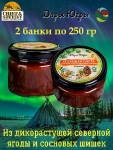 Варенье "Сосновая паста с облепихой и кедровым орехом", Дары Югры, 2 X 250 гр