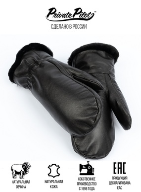 Варежки мужские зимние Private Pilot, кожа, овчина, цвет коричневый