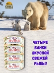 Налим обжаренный в томатном соусе, Санта Мария, 4 X 230 гр