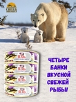 Язь обжаренный в масле, Санта Мария, 4 X 170 гр