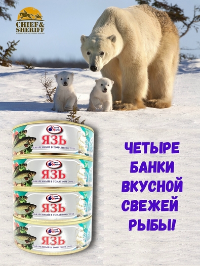 Язь обжаренный в томатном соусе, Санта Мария, 4 X 230 гр