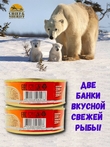 Щука обжаренная в томатном соусе, Санта Мария, 2 X 230 гр