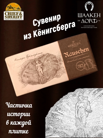 Шоколад молочный 35%, "Rauschen" Светлогорск, SCHAAKEN DORF, 2 X 100 гр