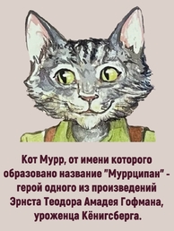 Марципановая плитка в белом шоколаде "Муррципан", SCHAAKEN DORF, 2 X 90 гр