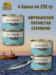 Скумбрия атлантическая африканская пятнистая, Рыбное меню, 4 X 250 гр