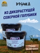 Варенье "Дикая голубика", Этника, 2 х 250 гр
