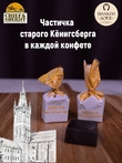 Шоколадные конфеты с сыром и манго "RIKOTA", SCHAAKEN DORF, 2 X 500 гр