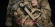 Тактический томагавк Gerber Downrange Tomahawk, 30000715