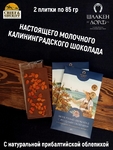 Шоколад молочный с облепихой, открытка, SCHAAKEN DORF, 2 X 85 гр