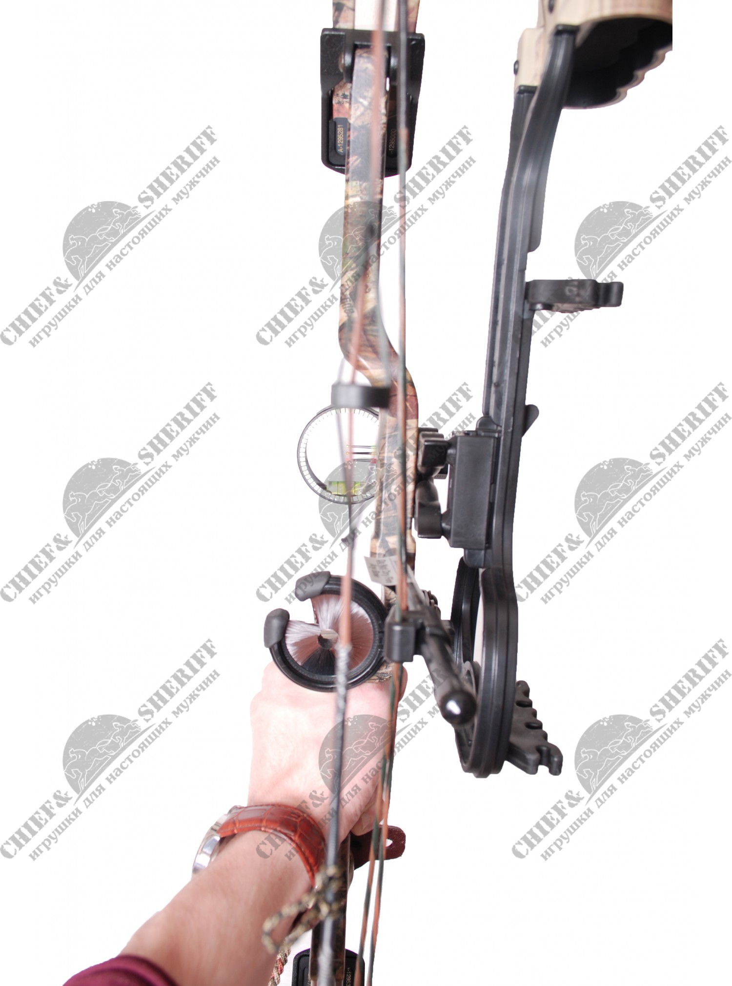 Лук блочный Bear Archery Encounter RH Realtree RTH, A25527326R, купить в  интернет-магазине с доставкой по Москве и России